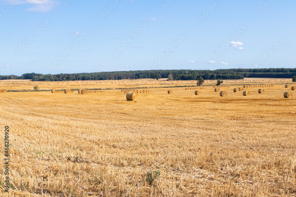 
A field for a large bale. Early fall. 