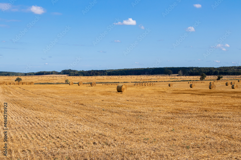Obraz premium A field for a large bale. Early fall. 