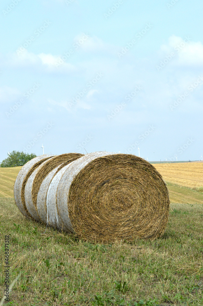 Haystack on the countryside 