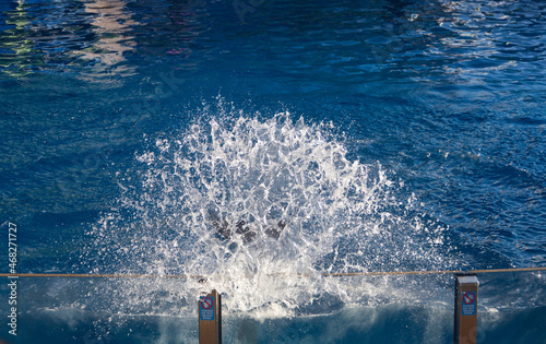 pool splash fountain