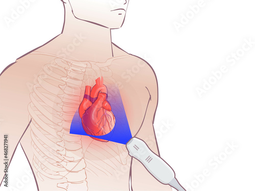 Heart ultrasoiund illustration. Echocardiography concept