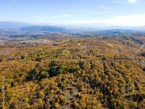 Autumn landscape of Cherna Gora (Monte Negro) mountain, Bulgaria