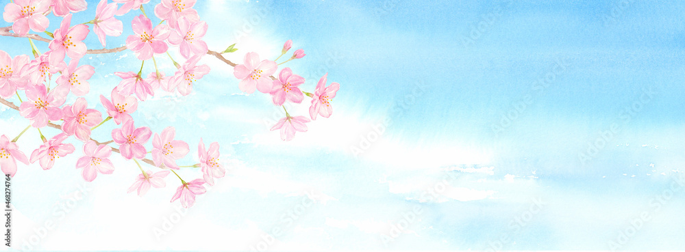 青空に桜の花の背景　水彩イラスト　手描きアナログ	横長サイズ