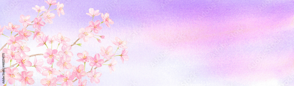 茜色の空と桜の花の背景　水彩イラスト　手描きアナログ　横長サイズ