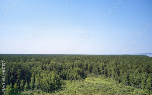 Aerial photo of forest bog in the Karakansky pine forest near the shore of the Ob reservoir.