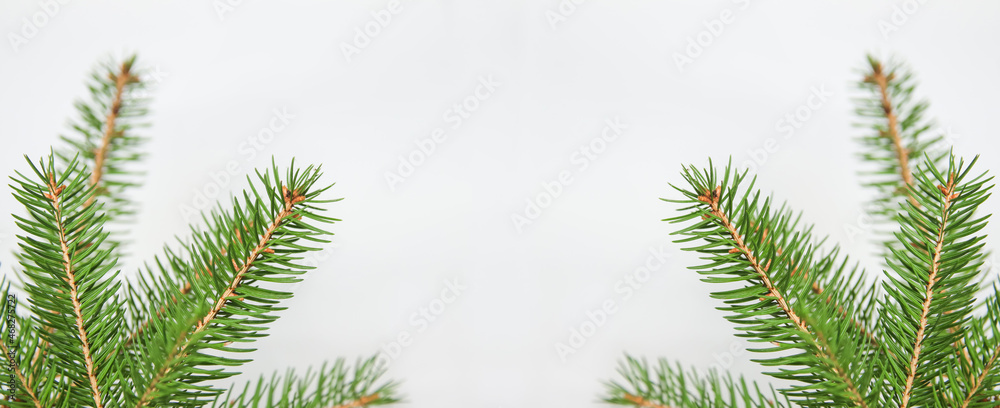 Fir branch or spruce branch with needles isolated on white background. Green natural fir tree branches. Frame and border. Copy space. Christmas holiday concept. Template for design. Wide header Fir branch or spruce branch with needles isolated on white background. Green natural fir tree branches. Frame and border. Copy space. Christmas holiday concept. Template for design. Wide header