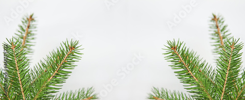 Fir branch or spruce branch with needles isolated on white background. Green natural fir tree branches. Frame and border. Copy space. Christmas holiday concept. Template for design. Wide header