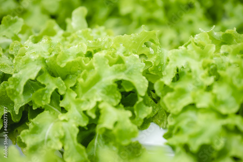 green healthy raw food life...