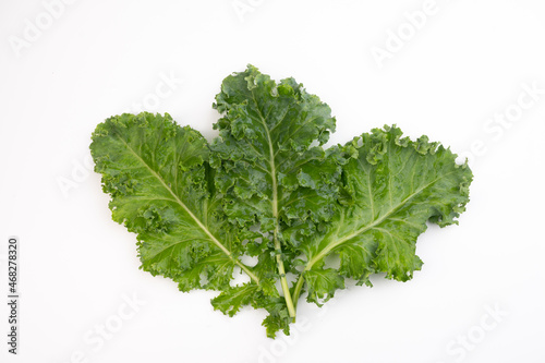 green healthy raw food life...