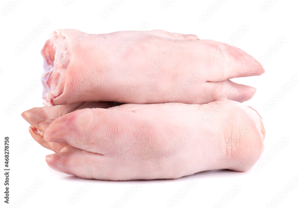 Raw pork hooves isolated on white background. Fresh pig legs. Raw pork hooves isolated on white background. Fresh pig legs.