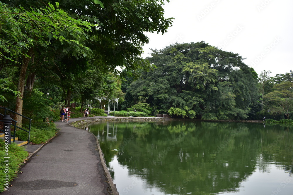 Peace like a River, ,National Park Singapore, Botanical Garden, Old Garden Peace like a River, ,National Park Singapore, Botanical Garden, Old Garden