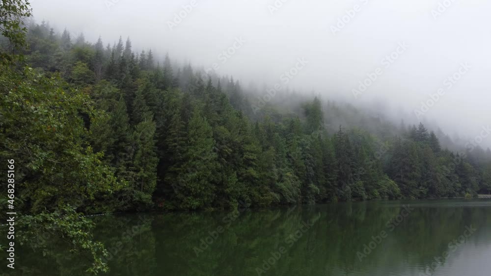 Water view with reflection of spruce forest covered in fog Water view with reflection of spruce forest covered in fog