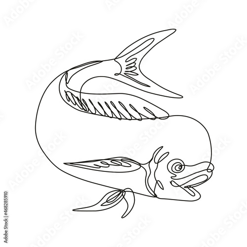 Continuous line drawing illustration of a dorado dolphin fish or mahi mahi jumping down done in mono line or doodle style in black and white on isolated background. 