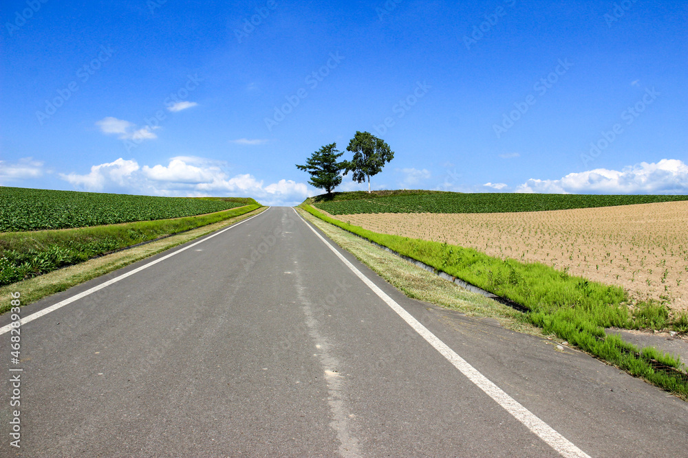 農村の道路と青空
