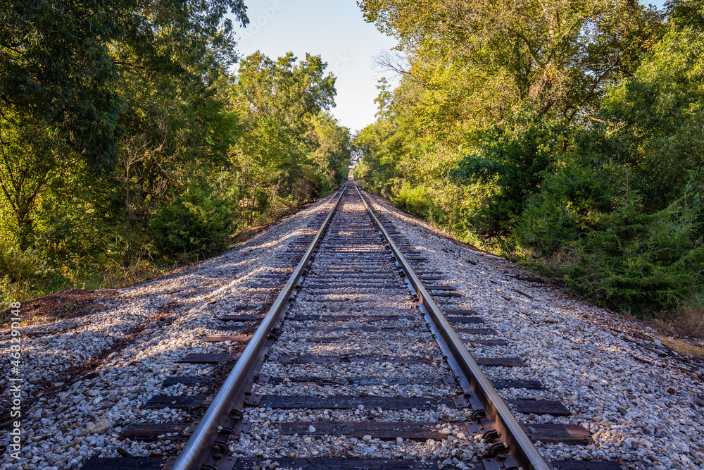 railroad tracks in the forest