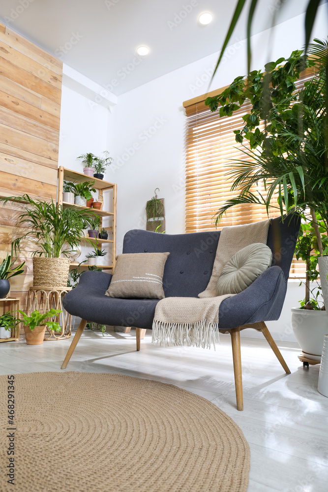 Fototapeta premium Comfortable sofa and beautiful houseplants in room. Lounge area interior