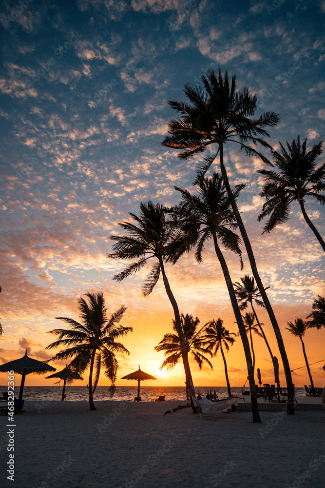 sunset over the beach with palm trees 