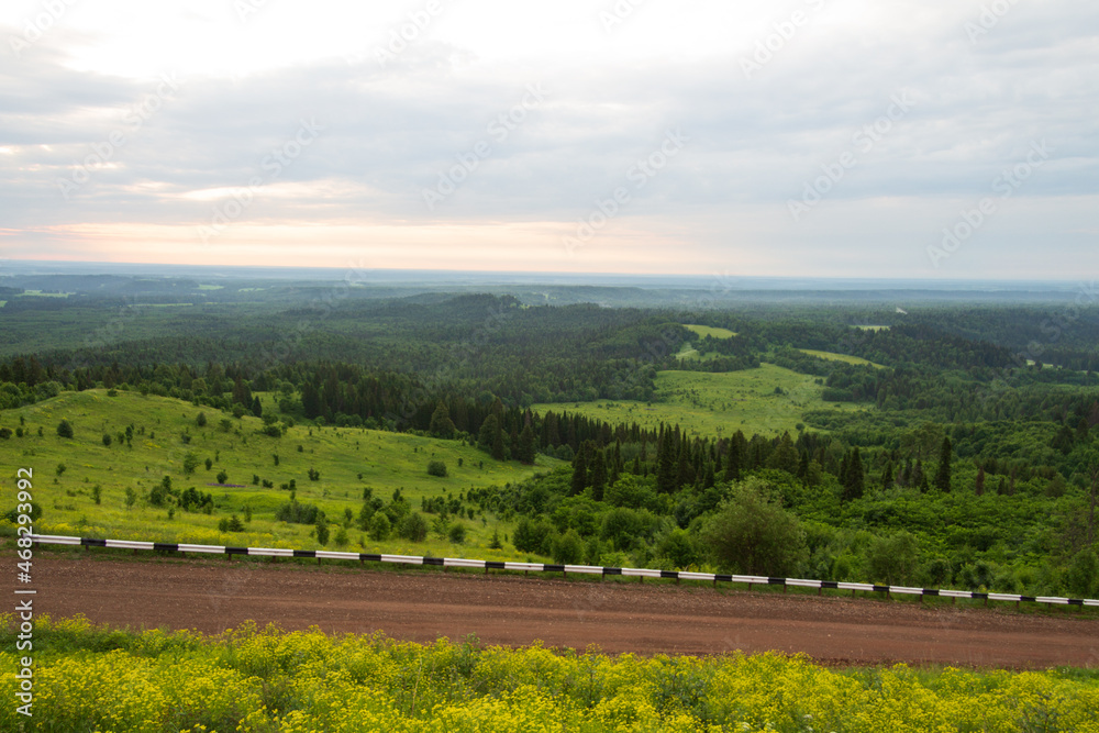 Obraz premium View of the sunrise in the forest