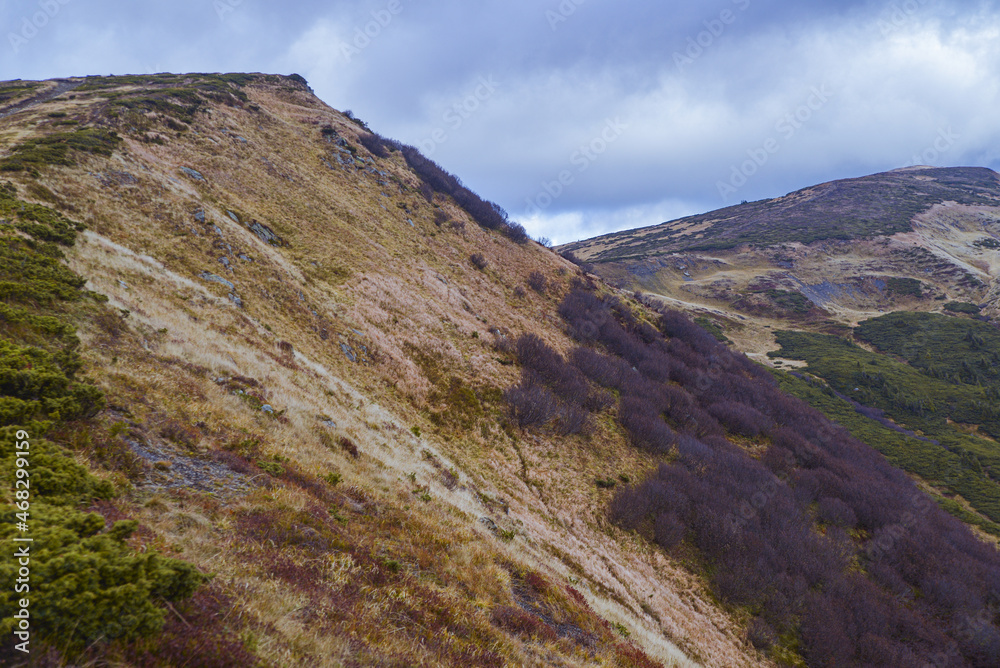 Fototapeta premium landscape in the mountains