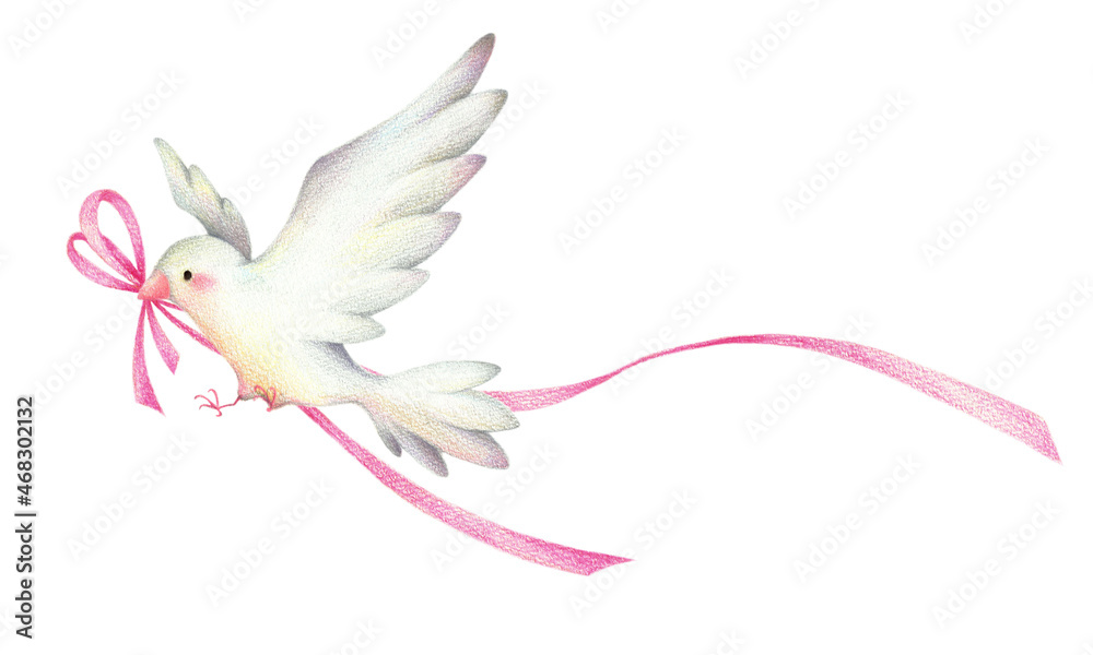 Fototapeta premium ピンクのリボンをくわえた白い鳥 手描き色鉛筆画