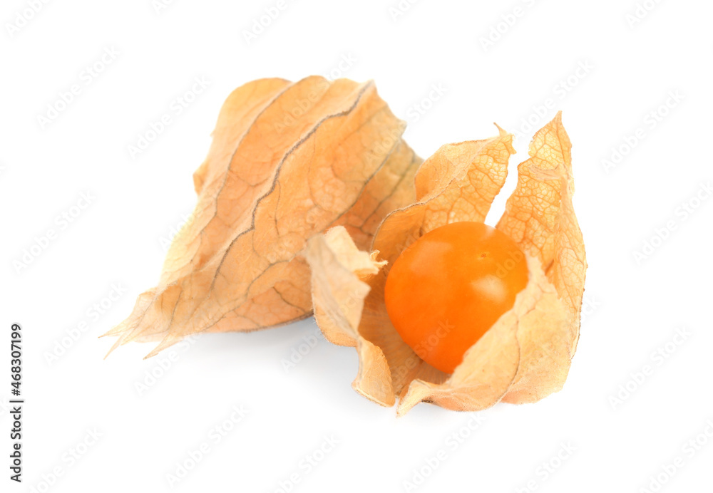 Ripe physalis fruits with dry husk on white background Ripe physalis fruits with dry husk on white background