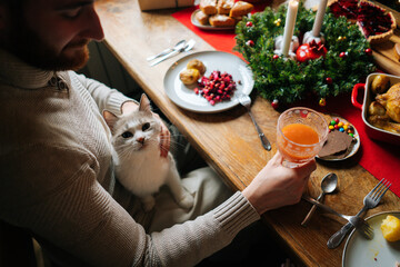 High-angle view of handsome bearded young man sitting at festive table with cat on lap and holding glass of fresh juice, during holiday family party, selective focus, blurred background.