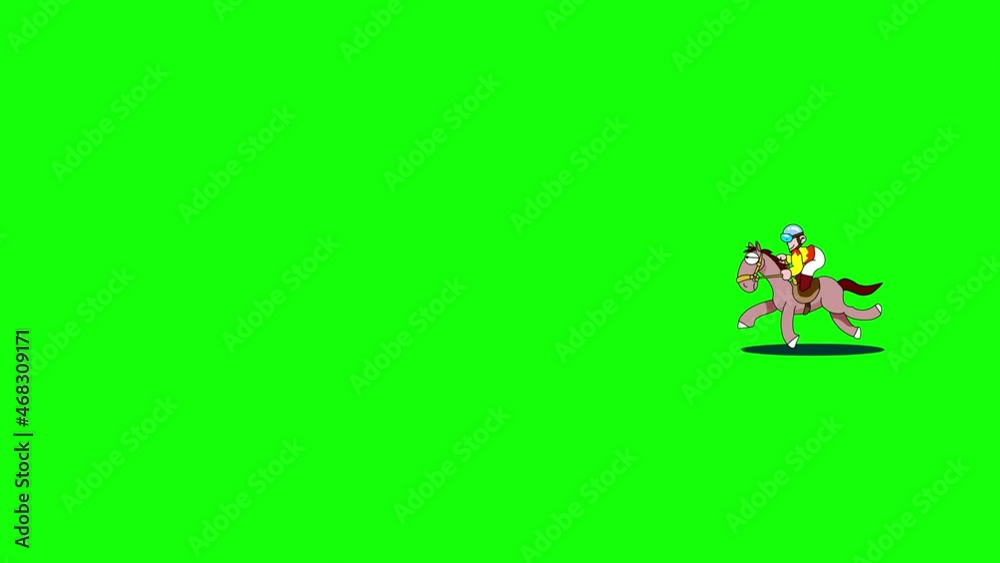 馬の動画素材 馬の動画素材