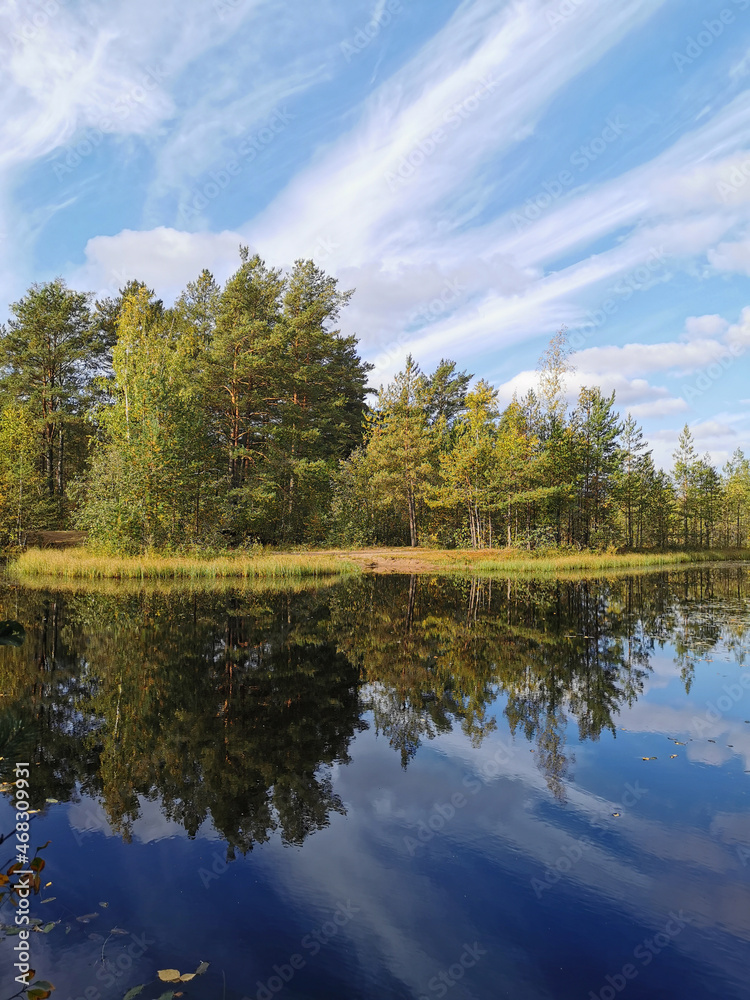 The mirror surface of a forest lake, in which trees and the sky with beautiful clouds are reflected.