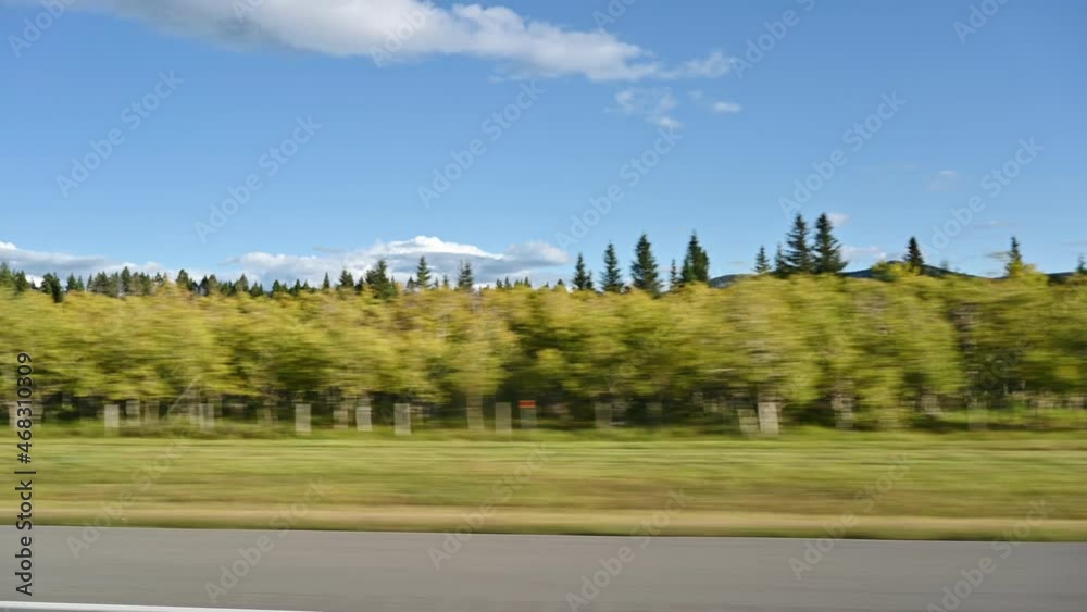 Driving on side road with scenery in autumn season