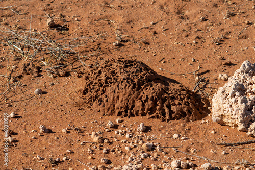 small termite mound