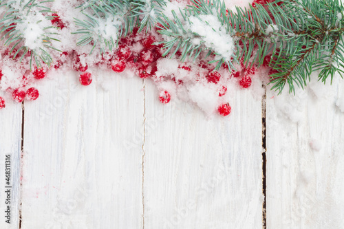 Christmas background with red berries on white snow with branches of a green Christmas tree