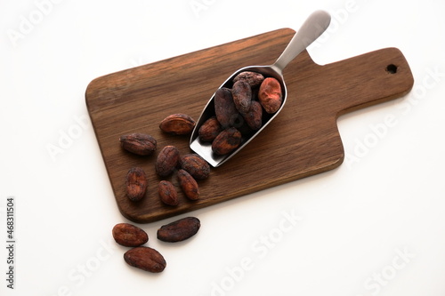 チョコレートの原料、ベトナムのカカオ豆 photo