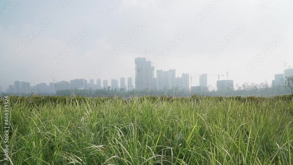 Landscape features of urban parks in Chengdu City, China Landscape features of urban parks in Chengdu City, China