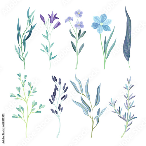 Blue plants, flowers and leaves set. Trendy colors floral design elements vector illustration