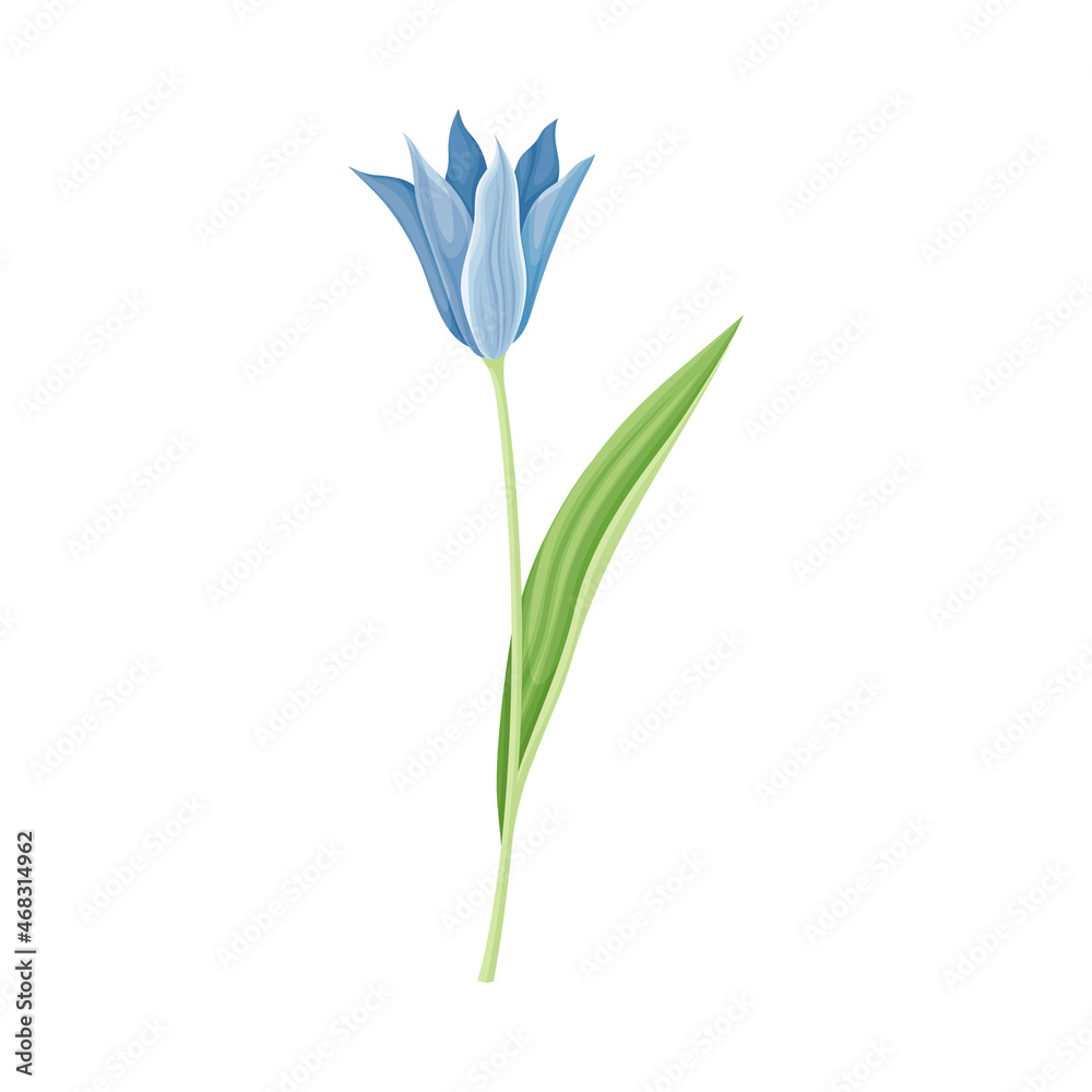 Blue Flower or Delicate Blossom on Leafy Stem Vector Illustration