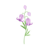Purple Flower or Delicate Blossom on Leafy Stem Vector Illustration