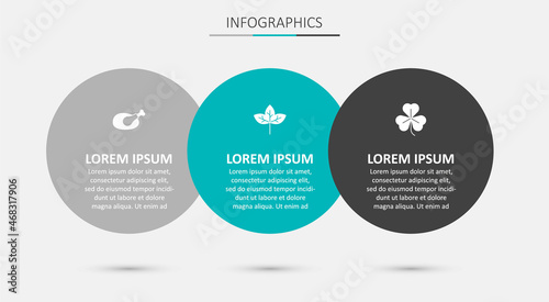Set Leaf, Roasted turkey or chicken and Clover. Business infographic template. Vector