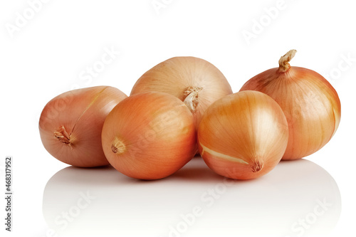 Five onions of freshly picked onions
