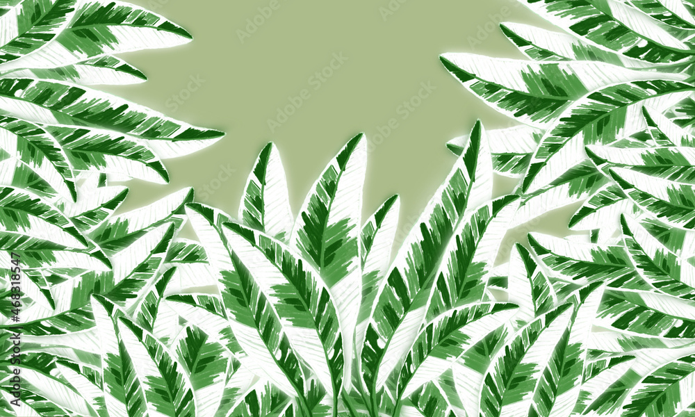 Obraz premium tropical banana leaves green nd white color spring nature background with emnpty space