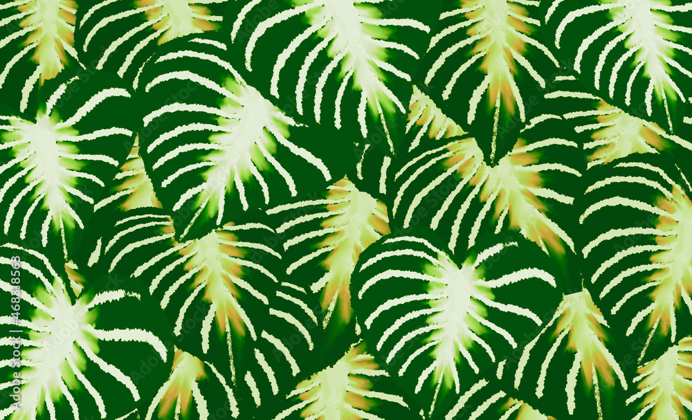 Green tropical leaves watercolor digital painting ,abstract  springmsummer nature background