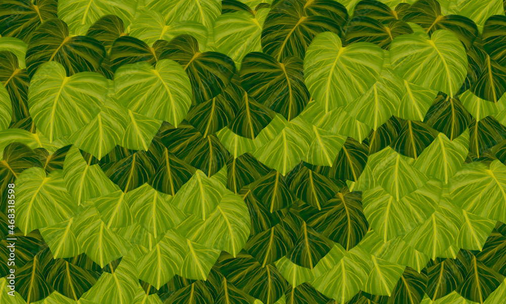 Fototapeta premium green tropical leaves abstract spring,summer nature background