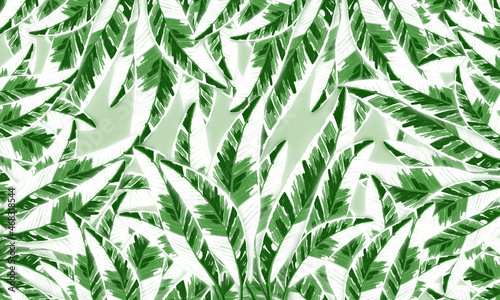 tropical banana leaves green nd white color  spring nature  background