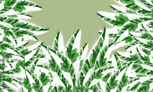 tropical banana leaves green nd white color spring nature background with emnpty space