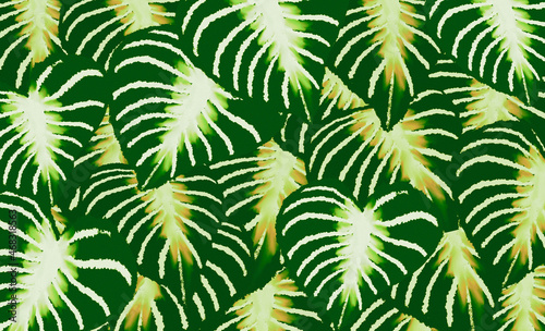 Green tropical leaves watercolor digital painting ,abstract springmsummer nature background