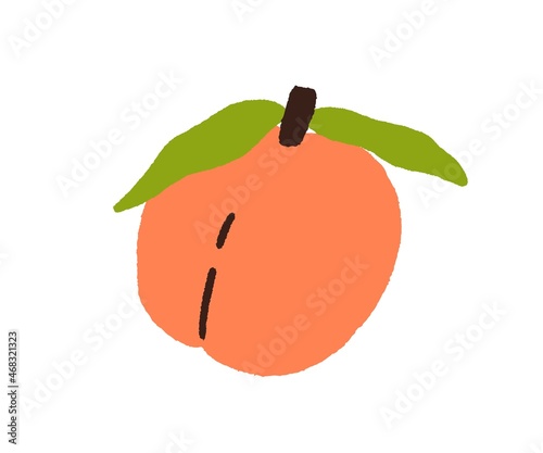 Fresh apricot with leaf drawn in doodle style. Sweet ripe exotic fruit with l...