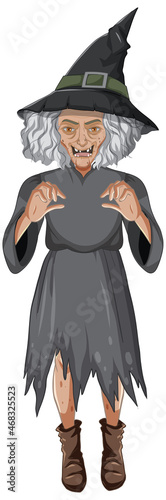Wicked old witch character on white background