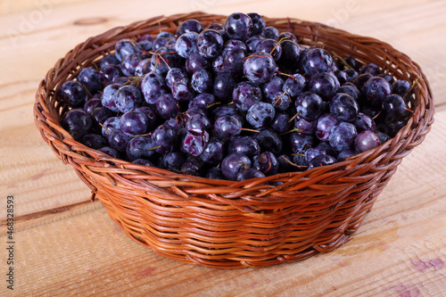 Blueberry harvest