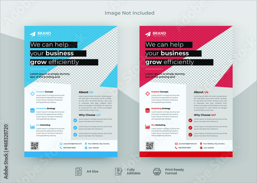 Corporate Flyer Template Design, Flyer Design. Poster Design, Corporate Poster, Promotional Flyer,