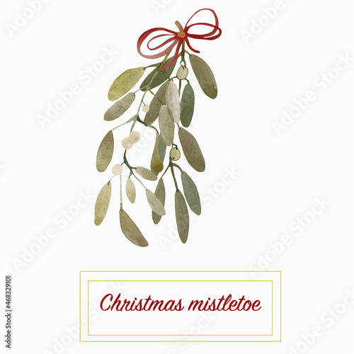 Watercolor illustration of mistletoe branch in bowknot. Hand-drawn and suitable for all types of design and printing.