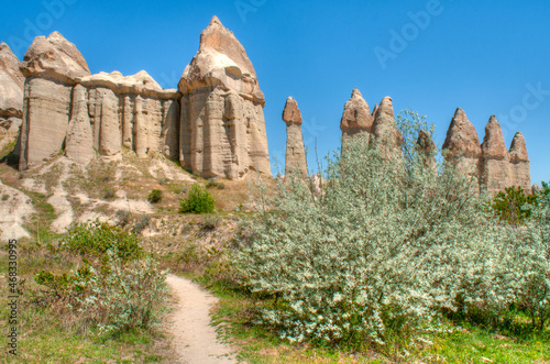 Impressive fungous forms of sandstone in the canyon of Cappadocia